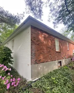 A corner view of a house showing a transition from newly painted white brick to older red brick. The foundation is a mix of painted and unpainted concrete. A basement window with an orange-colored frame is visible below a larger window with a taped frame. Pink flowers are blooming on the left side, and a thick patch of green ivy covers the ground.