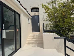 A vertical, low-angle shot of a small set of concrete steps leading to a gray door. The steps are next to a white stucco wall and a large glass door on the left side of the frame. There is a black metal railing on the right, and a leafy bush is next to the door.